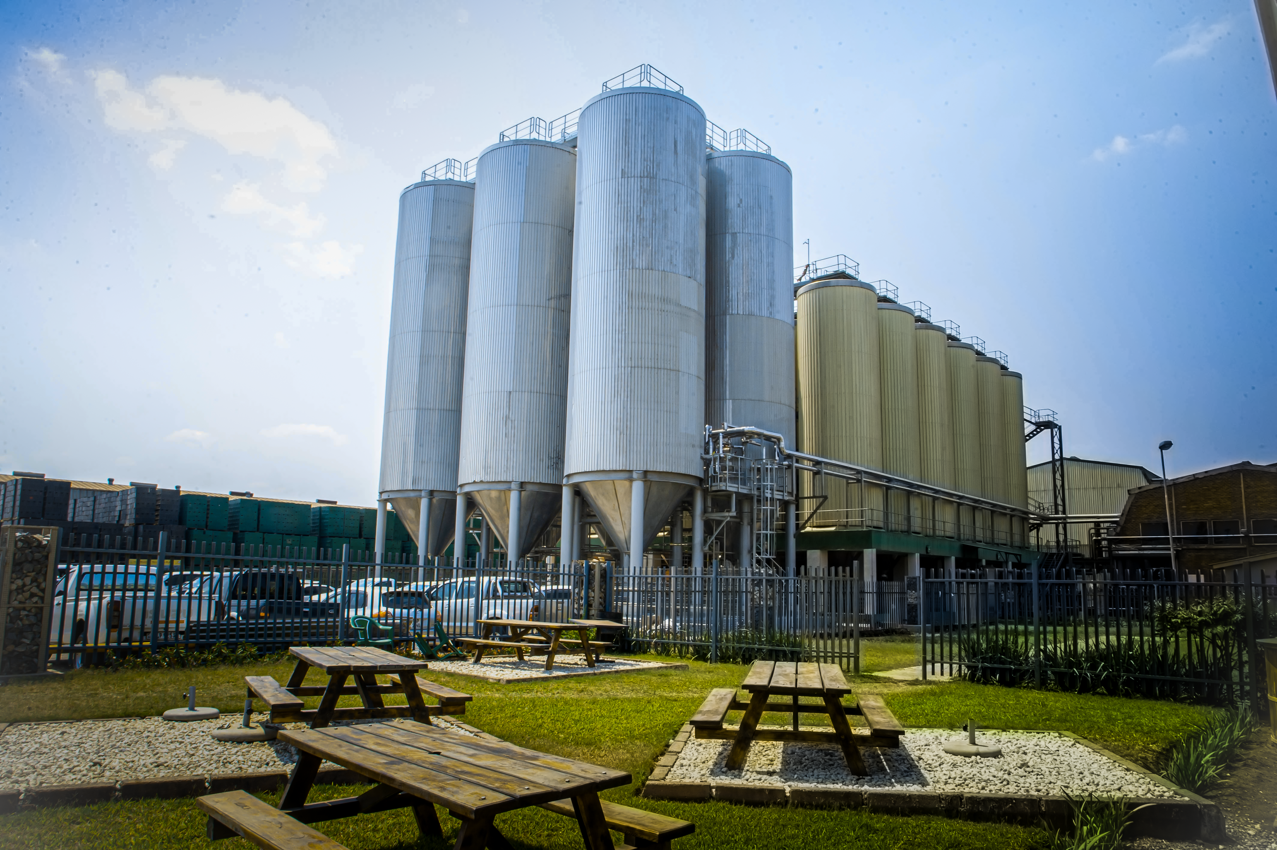 ZB Plant 2022 (1 of 3)